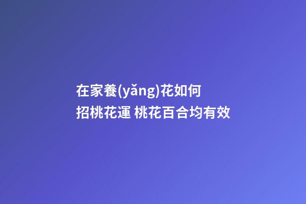 在家養(yǎng)花如何招桃花運 桃花百合均有效